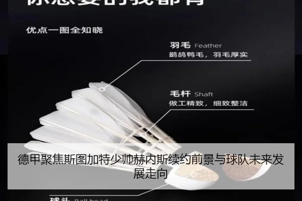 德甲聚焦斯图加特少帅赫内斯续约前景与球队未来发展走向
